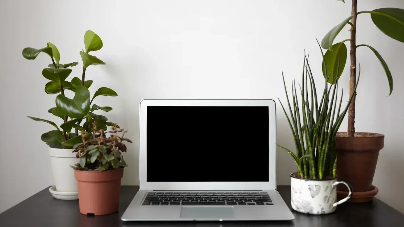 Des plantes pour leur espace de travail